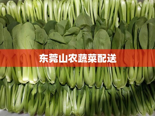 东莞山农蔬菜配送