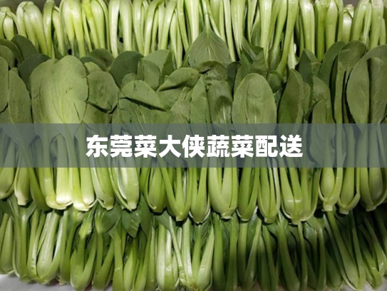 东莞菜大侠蔬菜配送