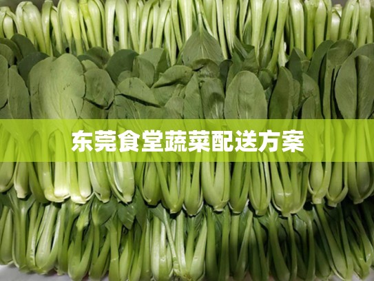 东莞食堂蔬菜配送方案