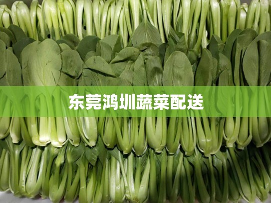 东莞鸿圳蔬菜配送