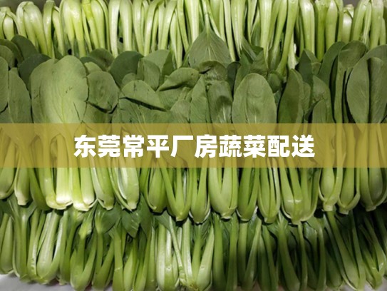 东莞常平厂房蔬菜配送