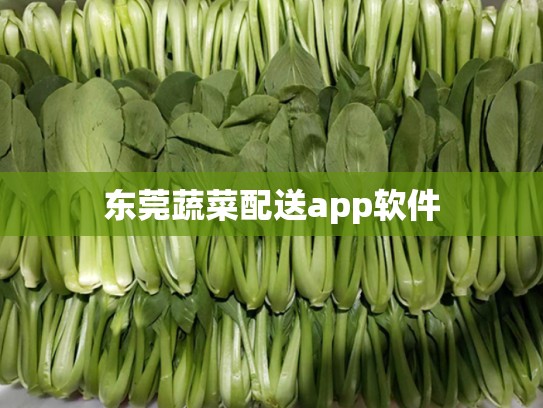东莞蔬菜配送app软件