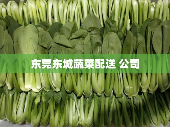 东莞东城蔬菜配送 公司