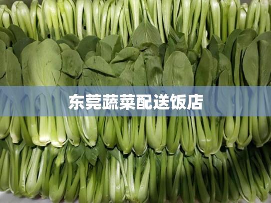 东莞蔬菜配送饭店