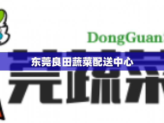 东莞良田蔬菜配送中心