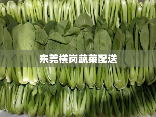 东莞横岗蔬菜配送