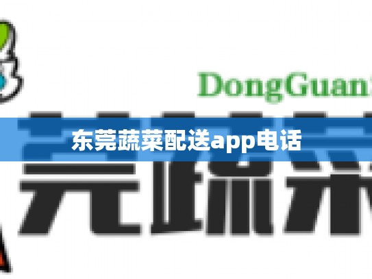 东莞蔬菜配送app电话