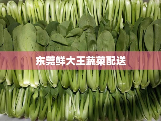 东莞鲜大王蔬菜配送