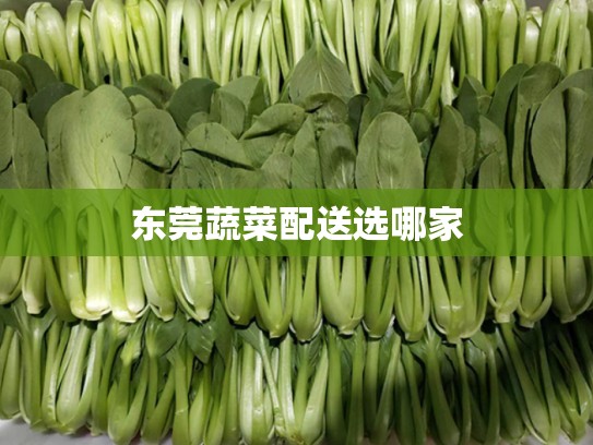 东莞蔬菜配送选哪家