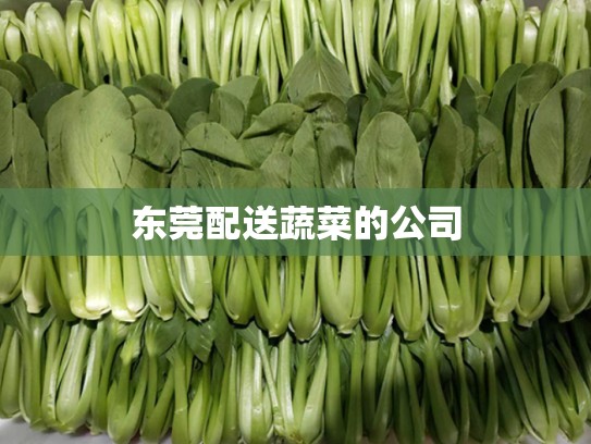 东莞配送蔬菜的公司