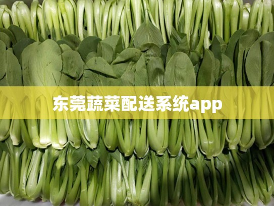 东莞蔬菜配送系统app