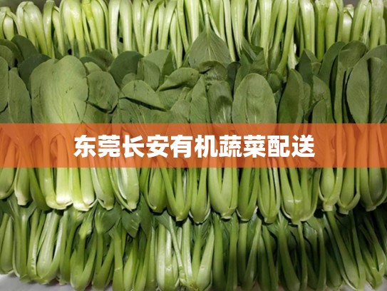 东莞长安有机蔬菜配送