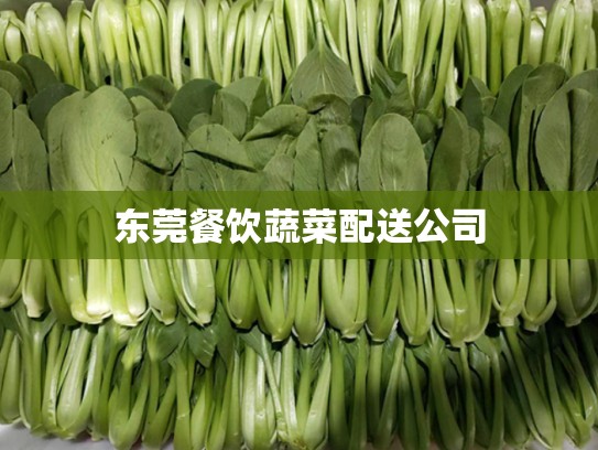 东莞餐饮蔬菜配送公司