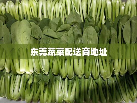东莞蔬菜配送商地址