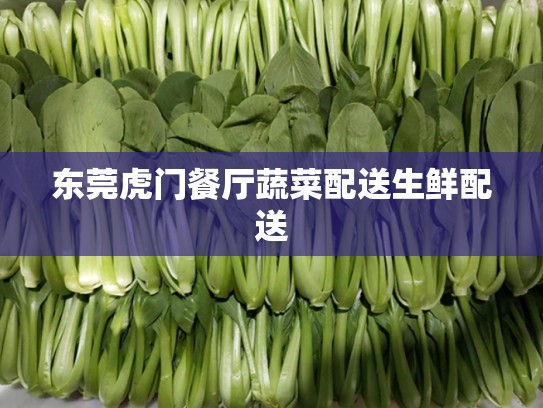 东莞虎门餐厅蔬菜配送生鲜配送