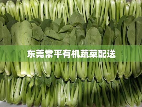 东莞常平有机蔬菜配送