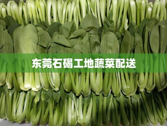 东莞石碣工地蔬菜配送
