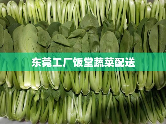 东莞工厂饭堂蔬菜配送