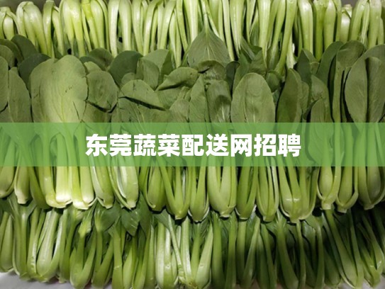 东莞蔬菜配送网招聘