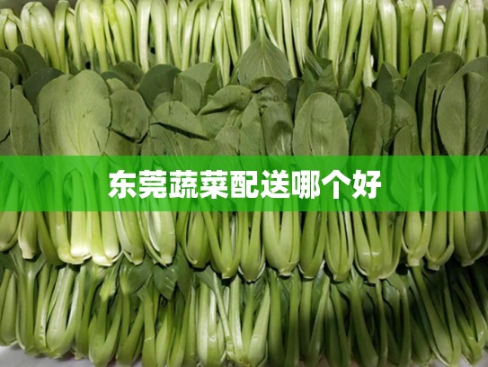 东莞蔬菜配送哪个好