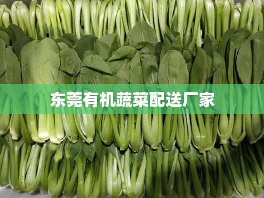 东莞有机蔬菜配送厂家