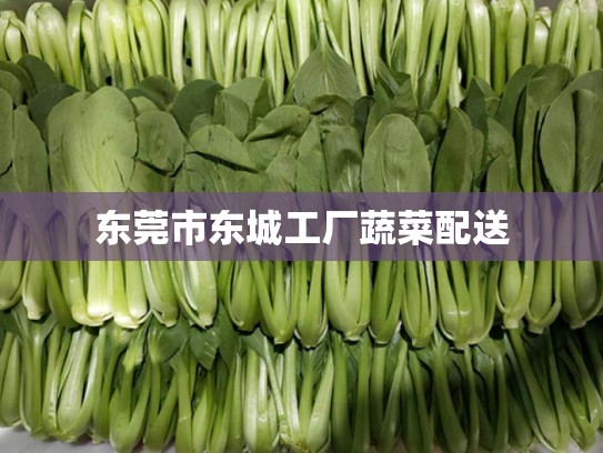 东莞市东城工厂蔬菜配送
