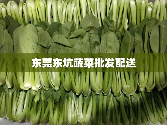 东莞东坑蔬菜批发配送