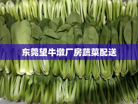 东莞望牛墩厂房蔬菜配送