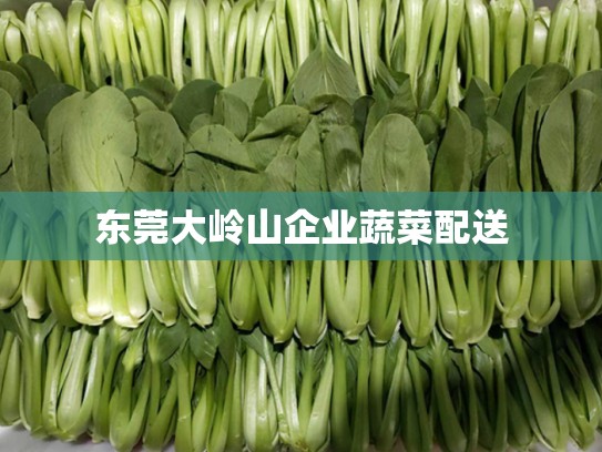 东莞大岭山企业蔬菜配送