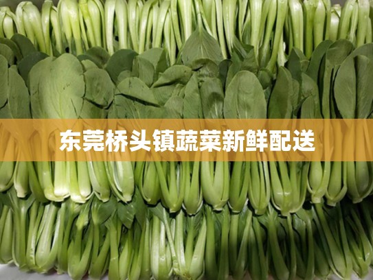 东莞桥头镇蔬菜新鲜配送