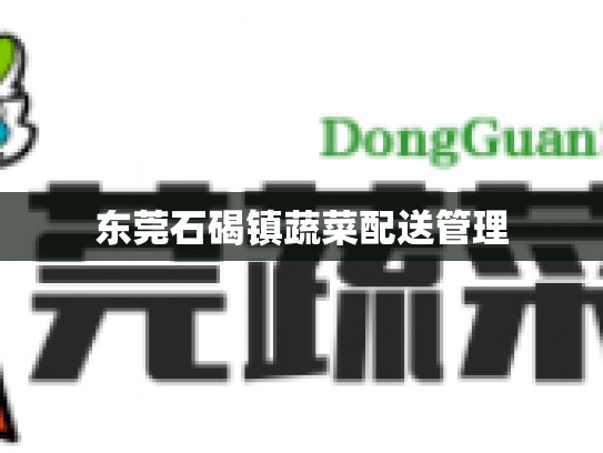 东莞石碣镇蔬菜配送管理
