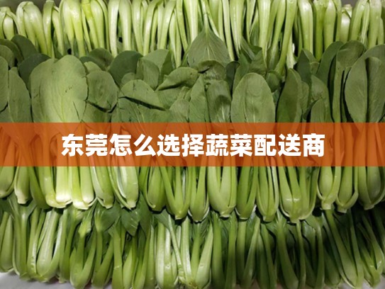 东莞怎么选择蔬菜配送商