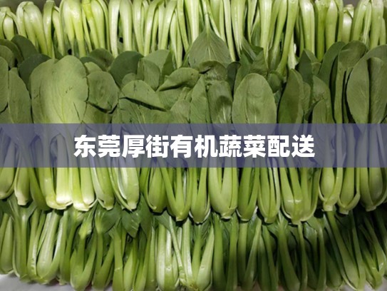 东莞厚街有机蔬菜配送