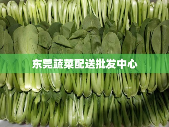 东莞蔬菜配送批发中心