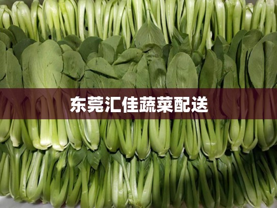 东莞汇佳蔬菜配送