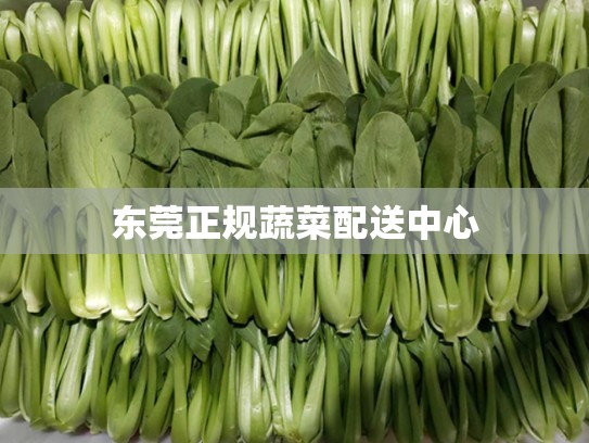 东莞正规蔬菜配送中心