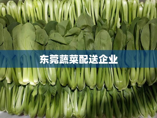 东莞蔬菜配送企业