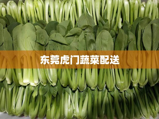 东莞虎门蔬菜配送