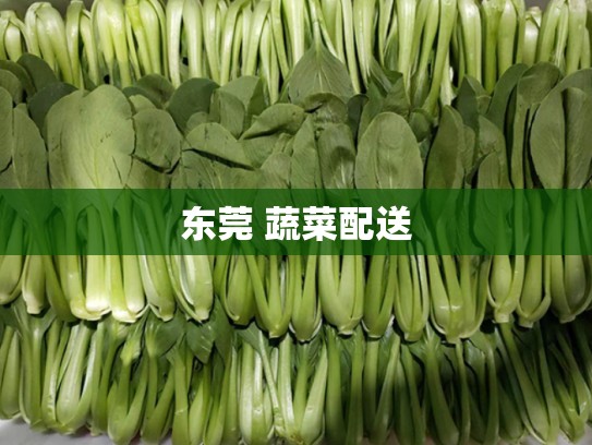 东莞 蔬菜配送