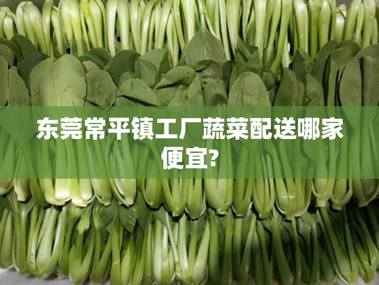 东莞常平镇工厂蔬菜配送哪家便宜?