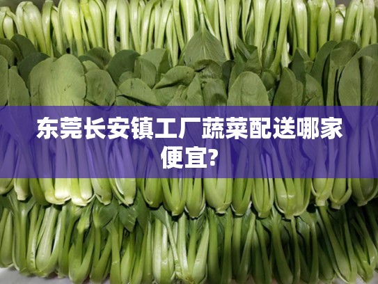 东莞长安镇工厂蔬菜配送哪家便宜?