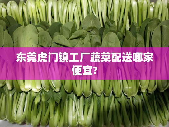 东莞虎门镇工厂蔬菜配送哪家便宜?