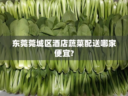 东莞莞城区酒店蔬菜配送哪家便宜?