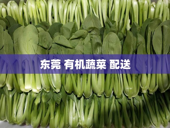 东莞 有机蔬菜 配送
