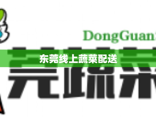 东莞线上蔬菜配送