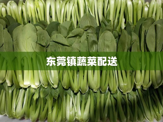东莞镇蔬菜配送