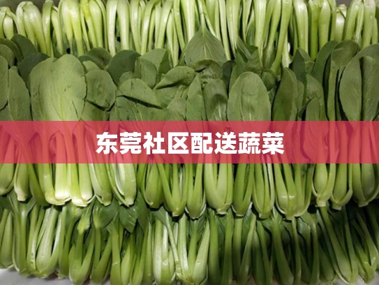 东莞社区配送蔬菜
