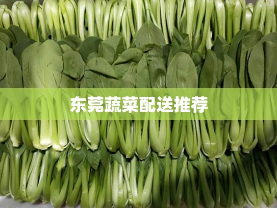 东莞蔬菜配送推荐