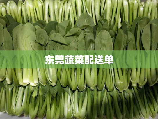 东莞蔬菜配送单