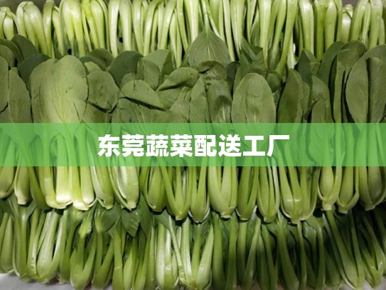 东莞蔬菜配送工厂